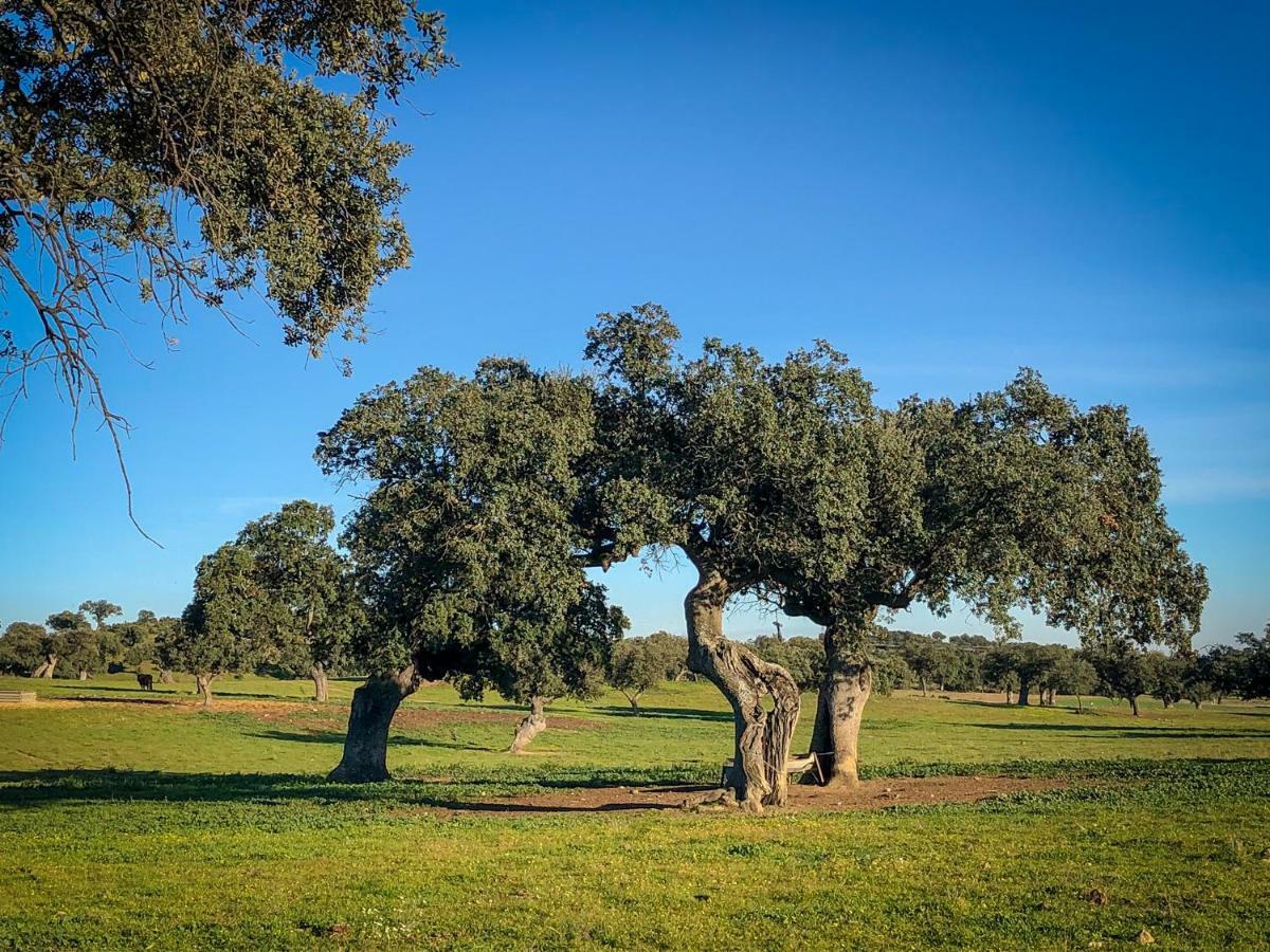 La Hermandad De Villalba Villalba de los Barros Eksteriør billede