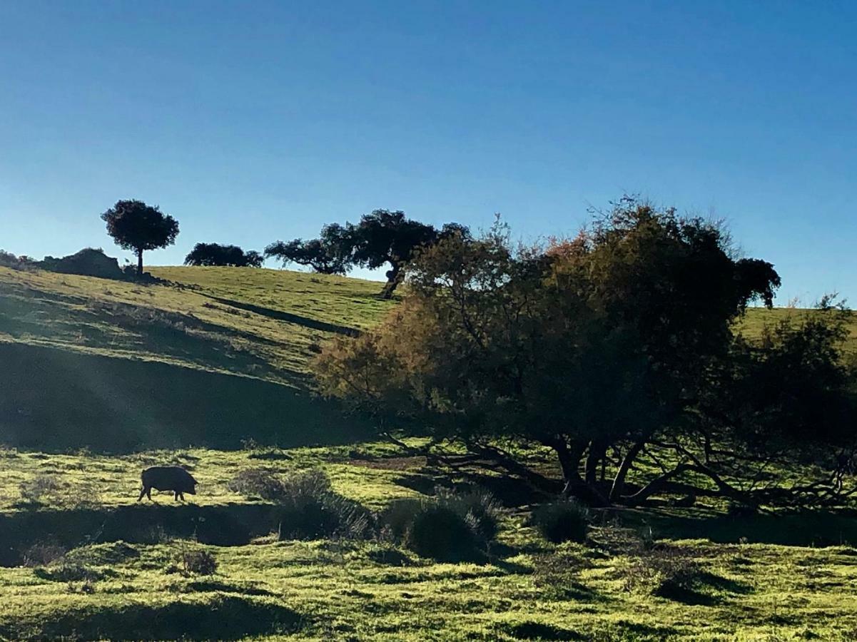 La Hermandad De Villalba Villalba de los Barros Eksteriør billede
